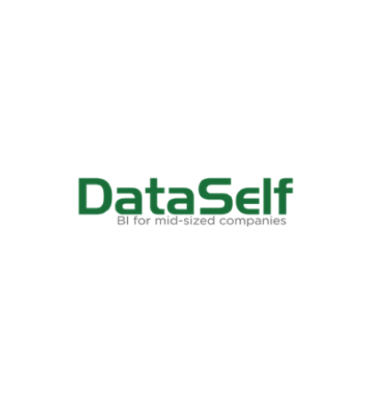 DataSelf Analytics